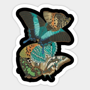 Retro Vintage Butterflies Sticker